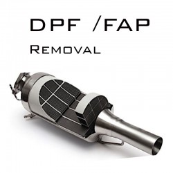 DPF Removal