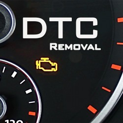 DTC / fault codes removal