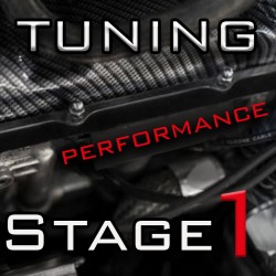 Tuning Stage 1 DIESEL